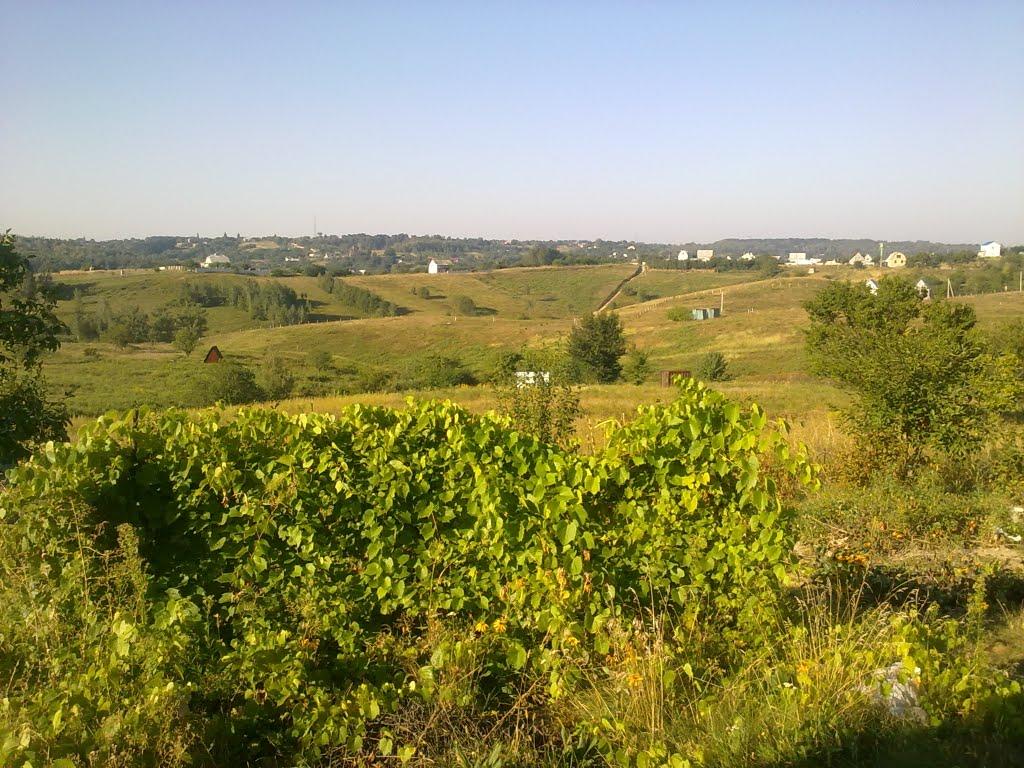 Гвоздів з panoramio.com - Гвоздів