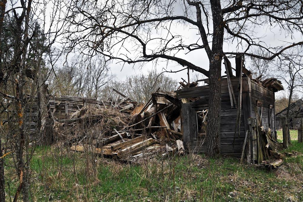 Карпилівка з panoramio.com - Карпиловка