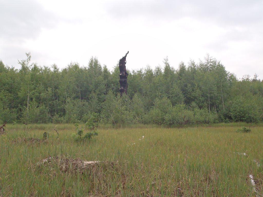 Студенок з panoramio.com - Студенок