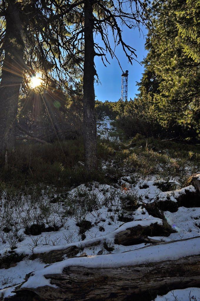 Осмолода з panoramio.com (ч.2) - Осмолода