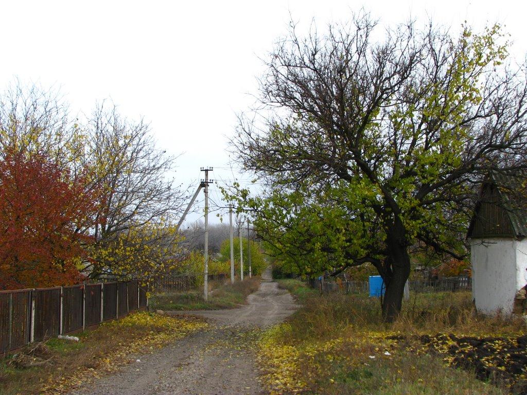 Розівка з panoramio.com - Розівка