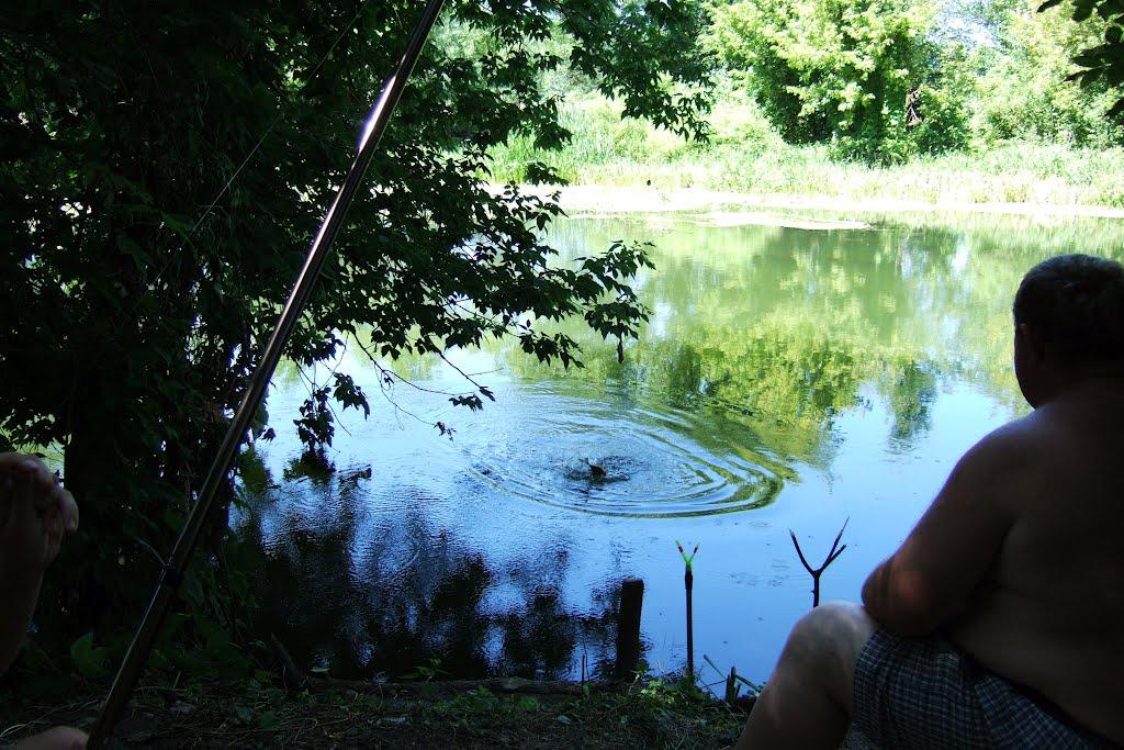 Огірцеве з panoramio.com - Ogirtseve