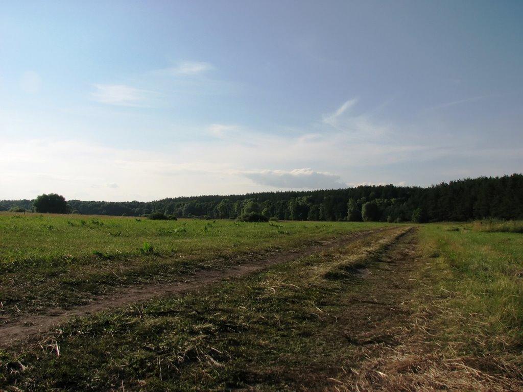 Шестовиця з panoramio.com - Шестовиця