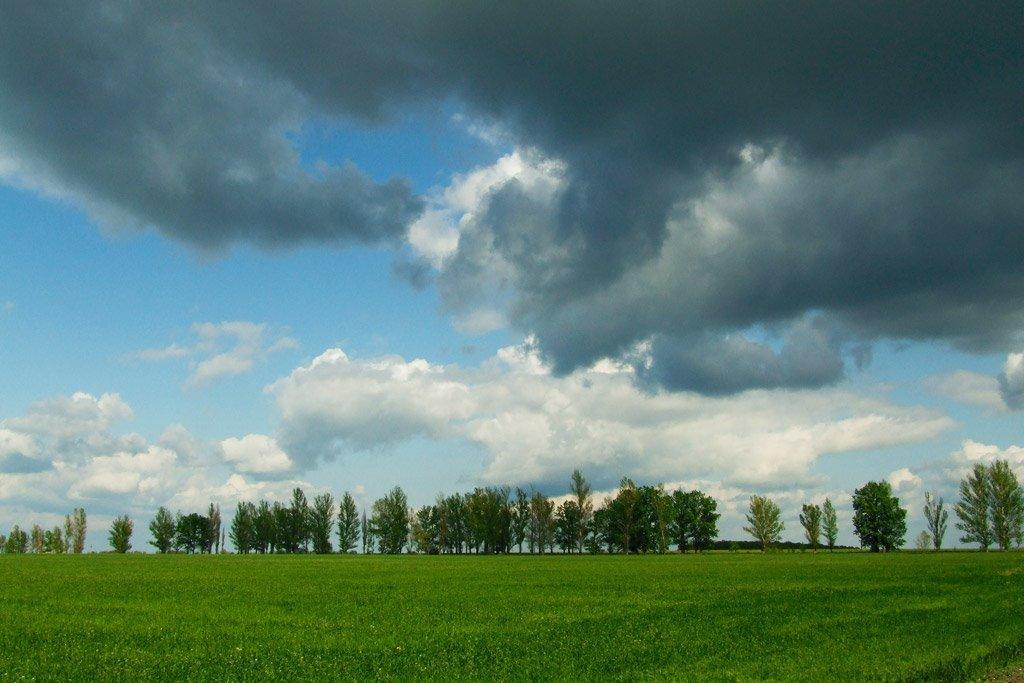 Липці з panoramio.com - Липці