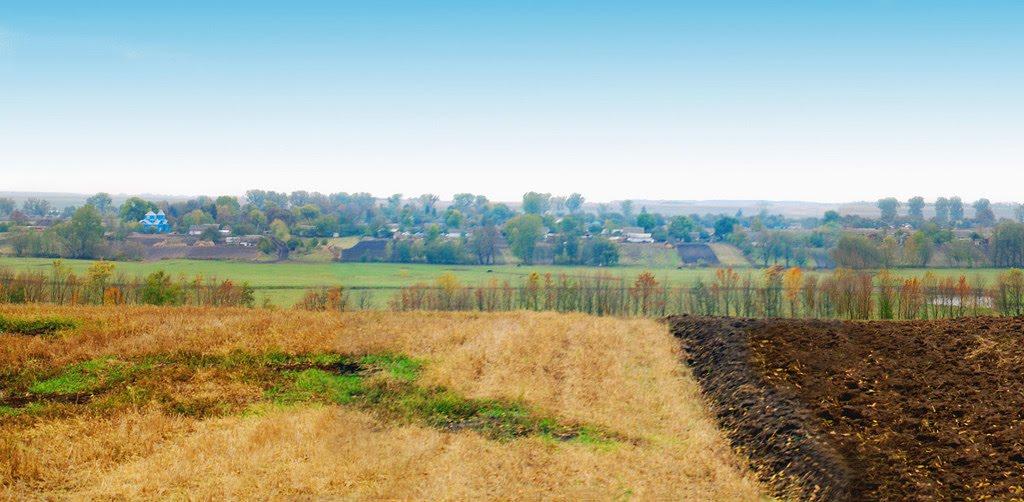 Торговиця з panoramio.com - Торговиця