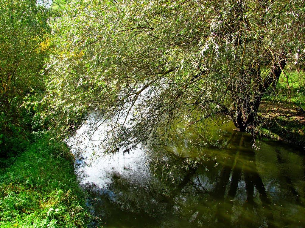 Комарно з panoramio.com - Komarno