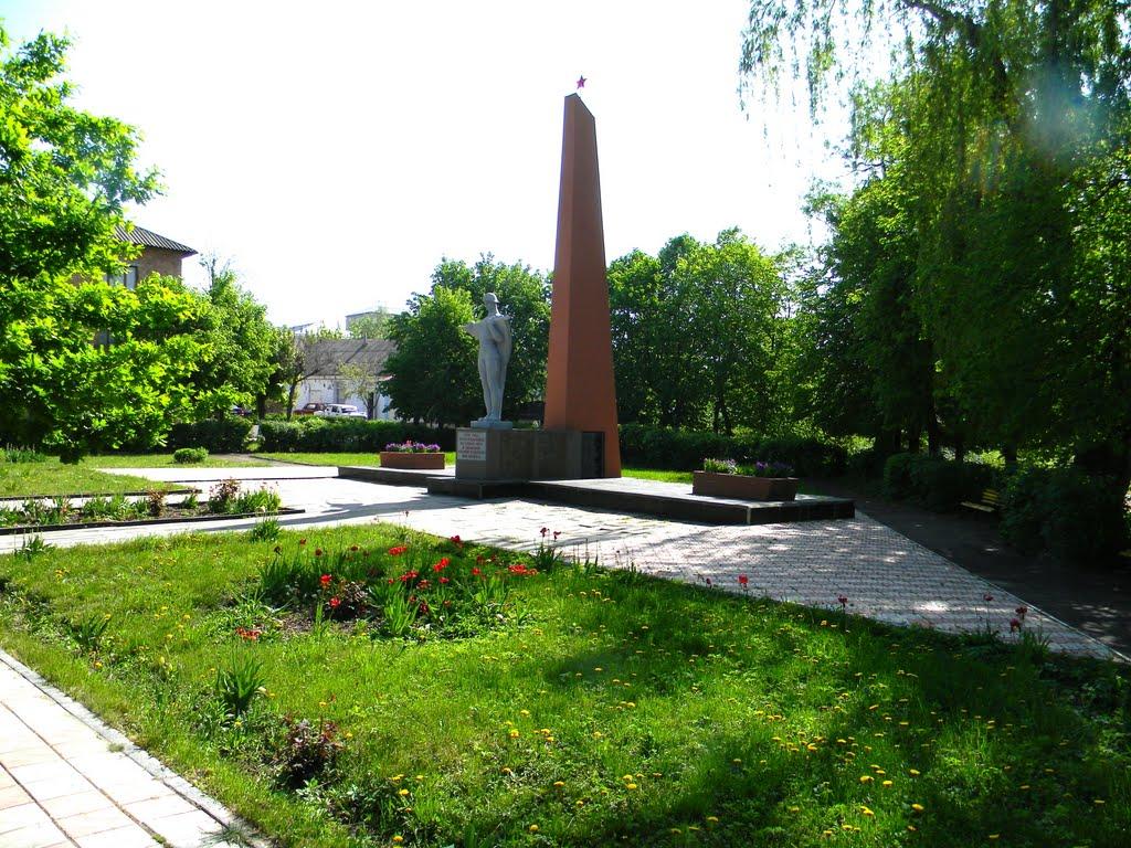 Кельменці з panoramio.com - Кельменці