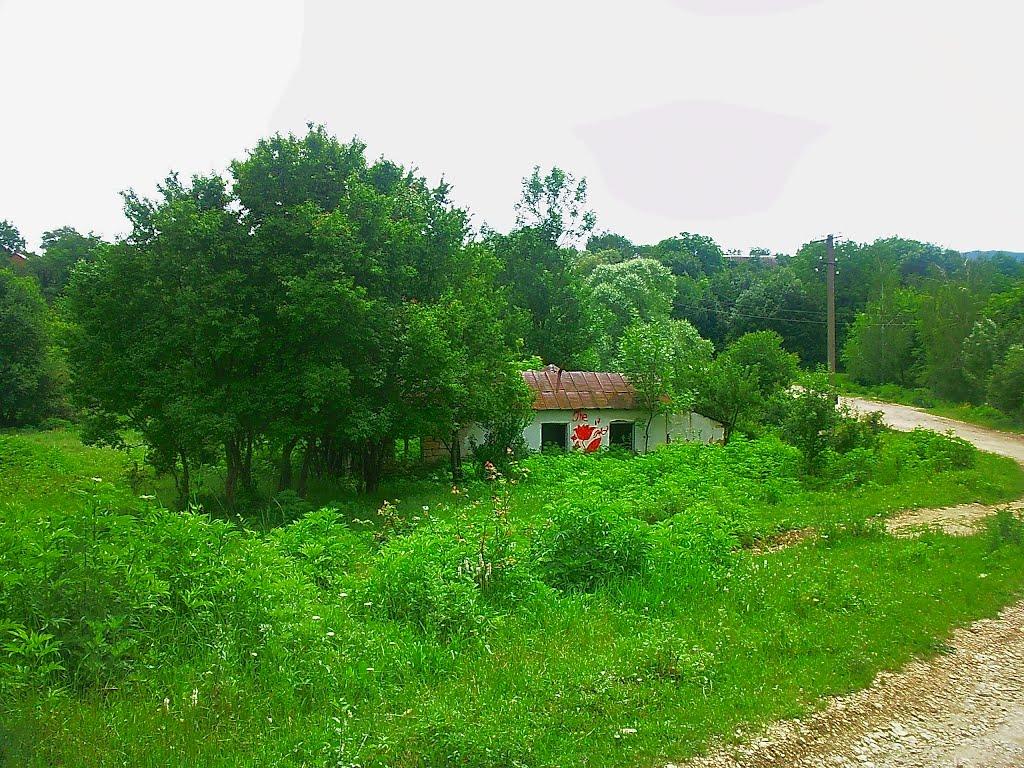 Краснолісся з panoramio.com - Краснолесье