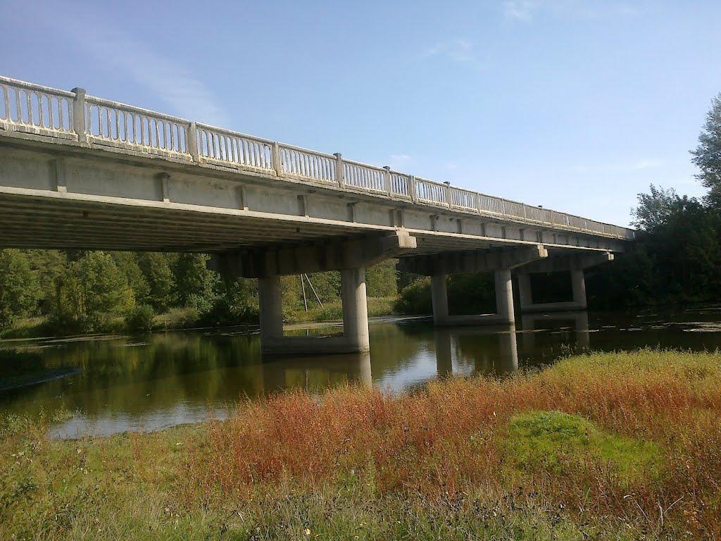 В'язенка з panoramio.com - Вязенка