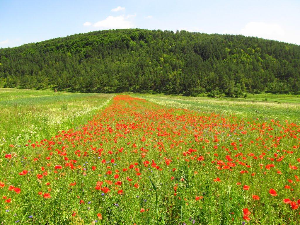 Маркова з panoramio.com - Маркова
