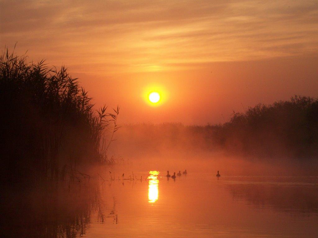 Старий Мохнач з panoramio.com - Старий Мохнач