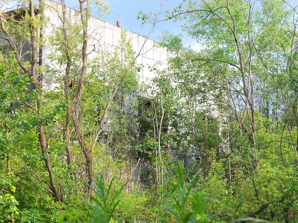 Буштино з panoramio.com - Буштыно