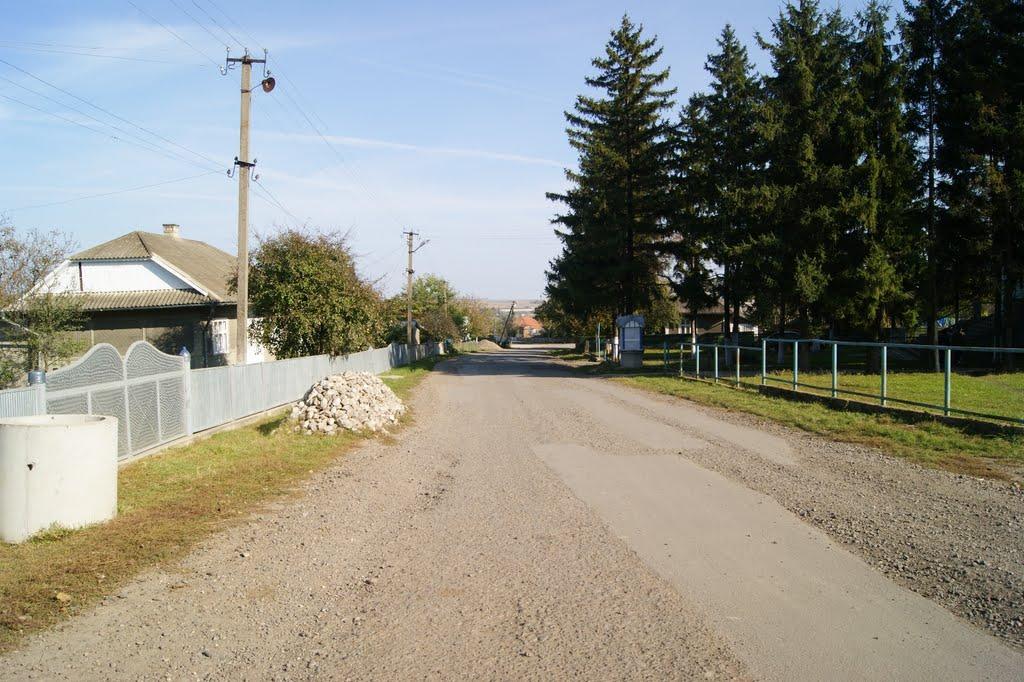 Несвоя з panoramio.com - Несвоя