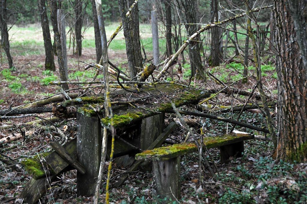 Карпилівка з panoramio.com - Карпиловка