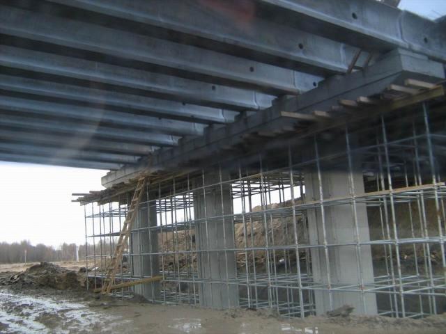 Береза з panoramio.com - Береза