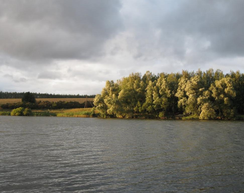 Василе-Устимівка з panoramio.com - Vasyle-Ustymivka