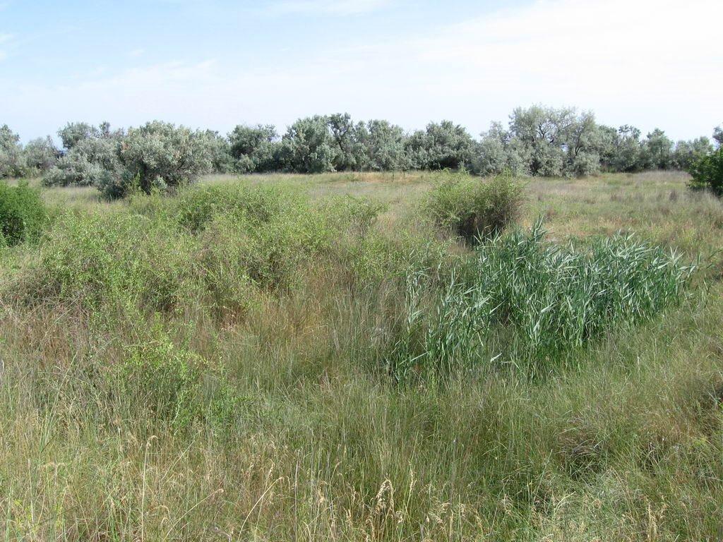 Очаків з panoramio.com - Очаков