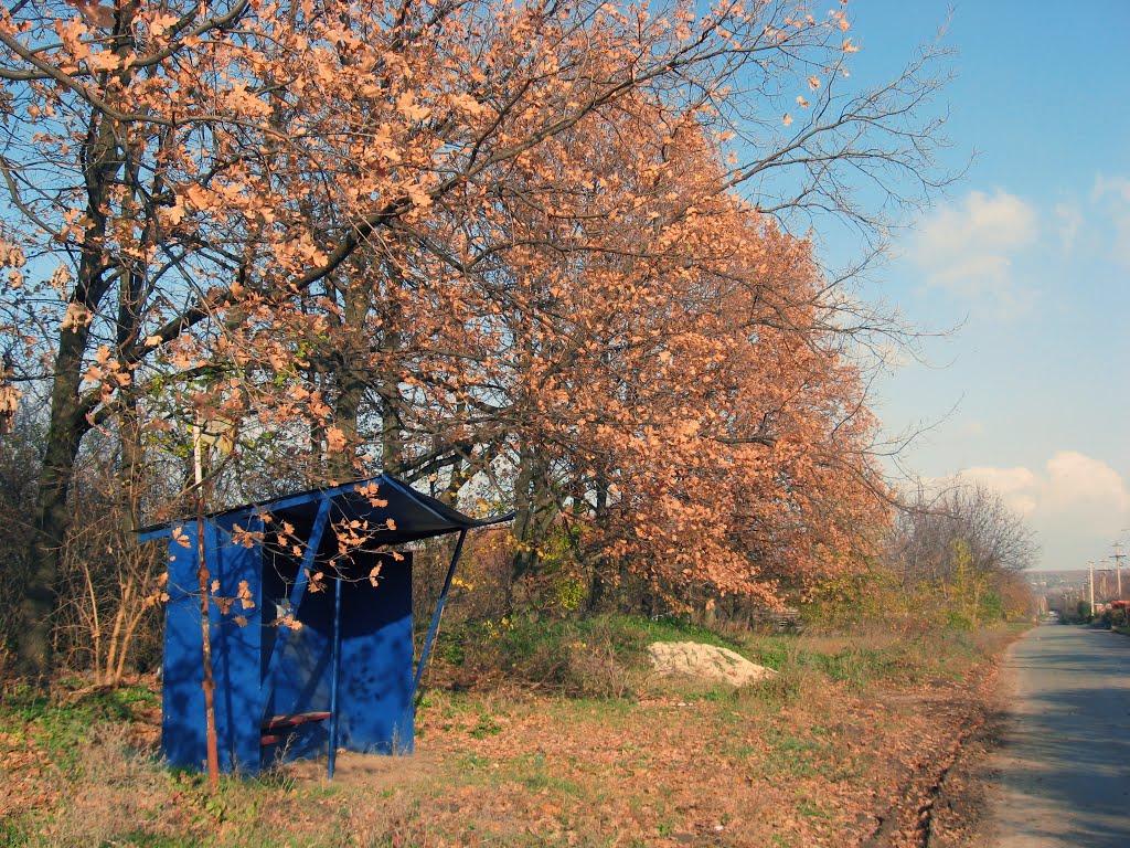 Ракшівка з panoramio.com - Ракшивка