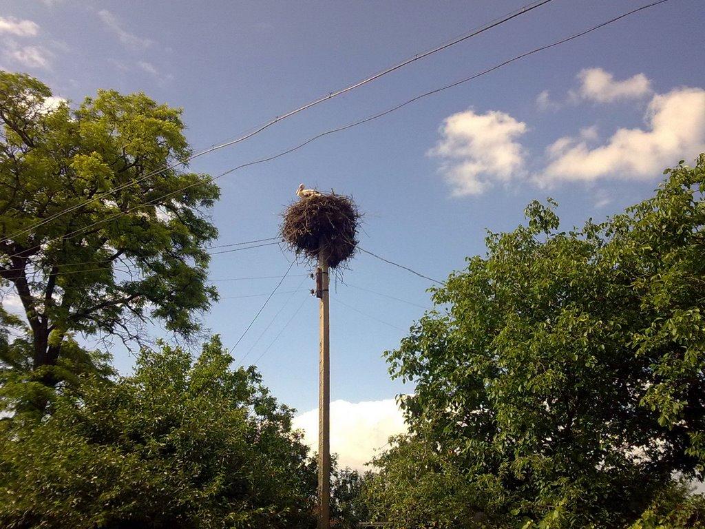 Успенка з panoramio.com - Успенка