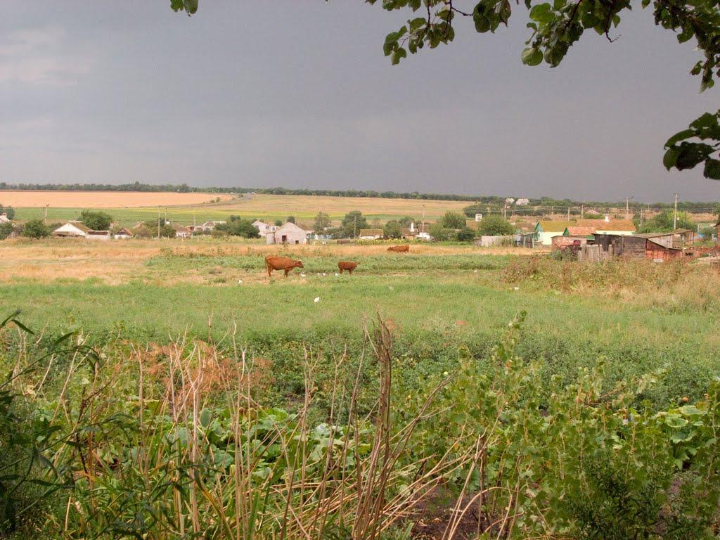 Мангуш з panoramio.com - Мангуш