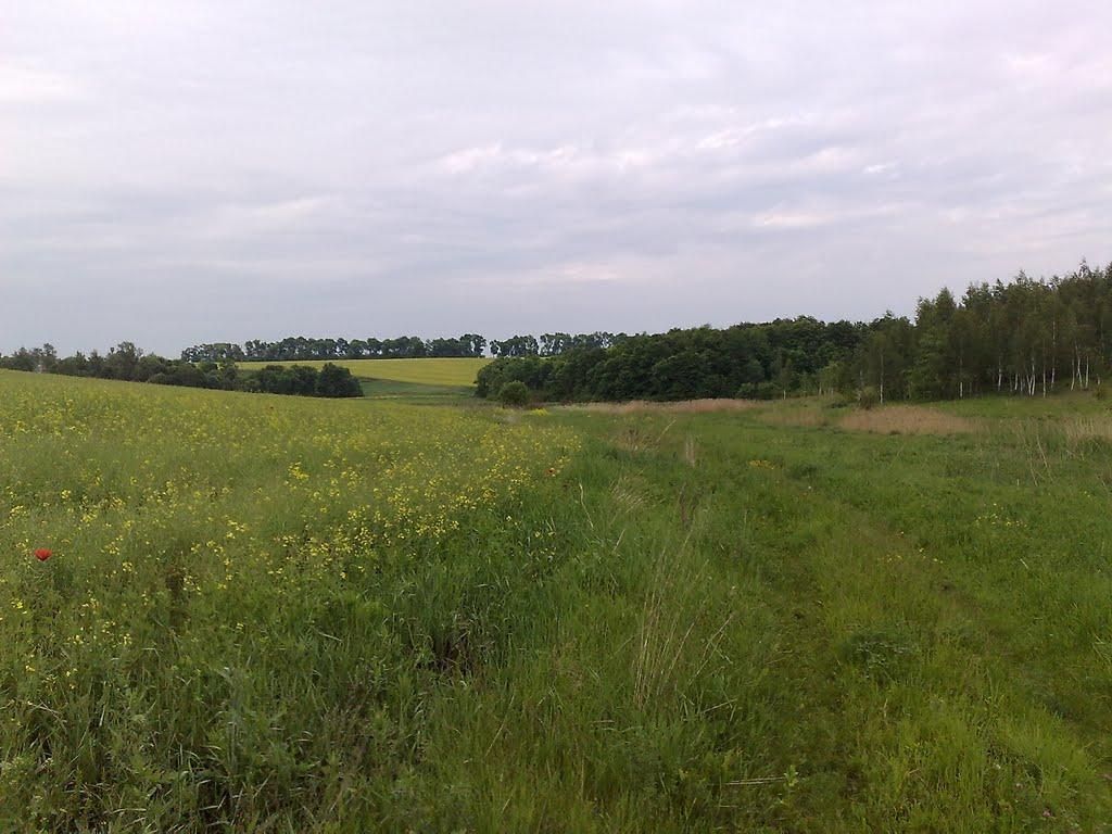 Махаринці з panoramio.com - Махаринцы