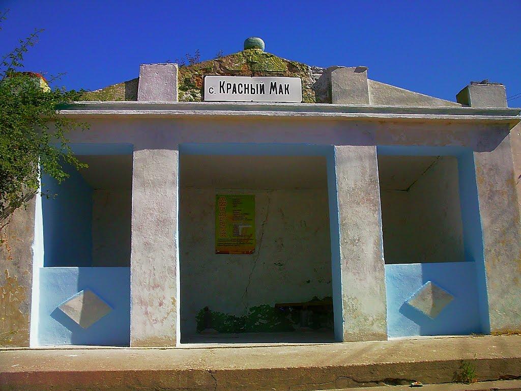 Красний Мак з panoramio.com - Красный Мак