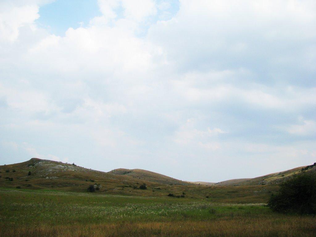 Пчолине з panoramio.com - Пчелиное