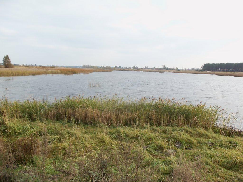 Березівка з panoramio.com - Березівка