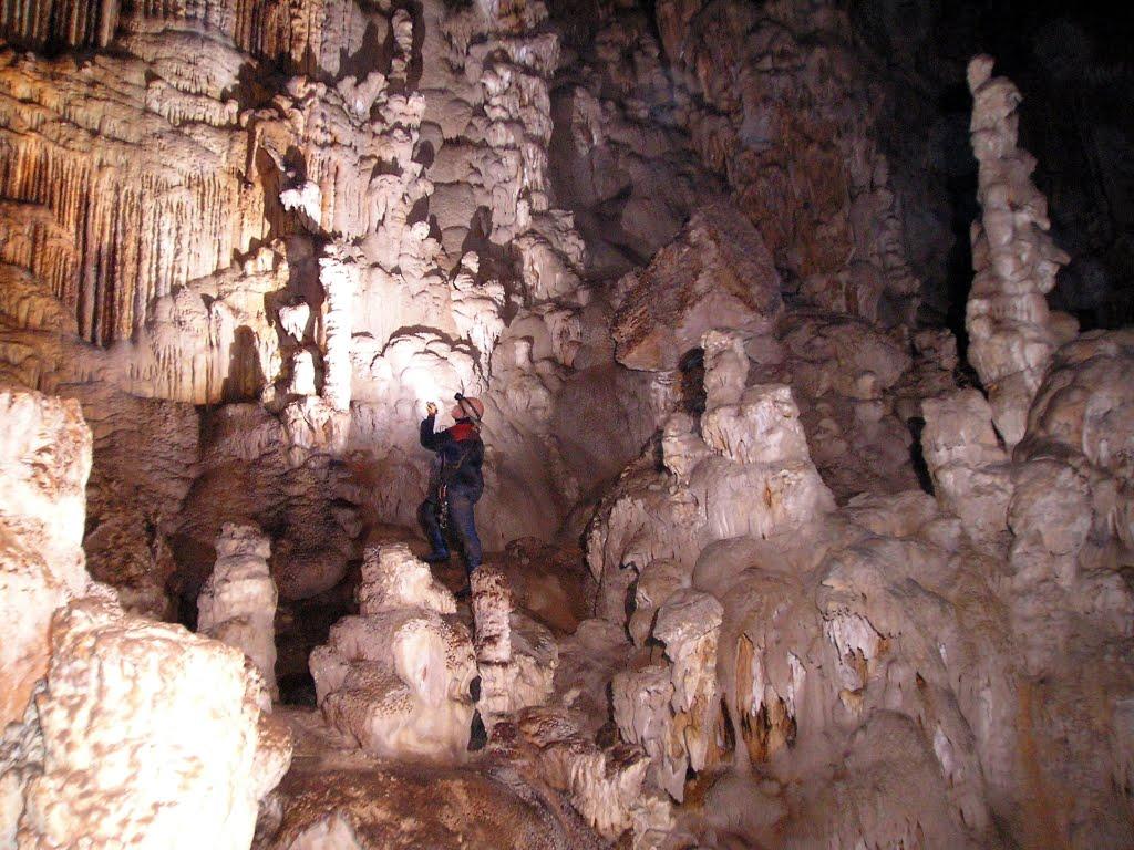 Пчолине з panoramio.com - Пчелиное