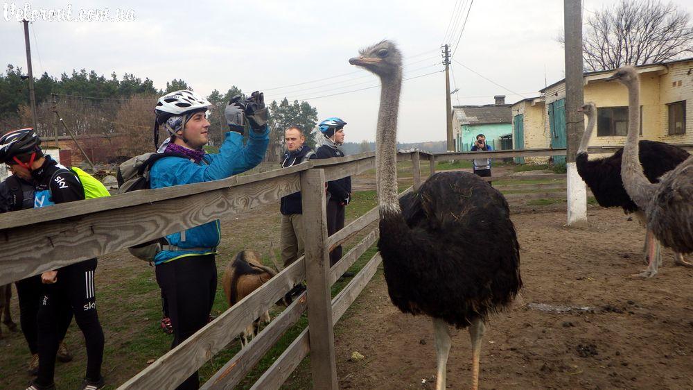 Кийлів з panoramio.com - Кийлів