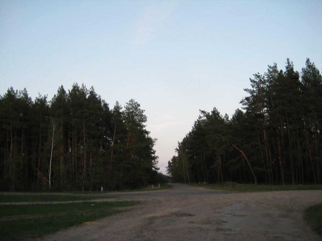 Гути з panoramio.com - Гуты
