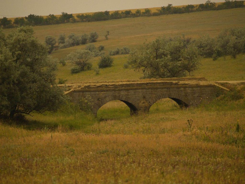 Кубанка з panoramio.com - Кубанка