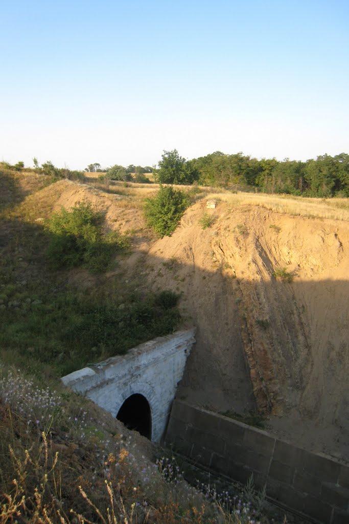 Петро-Миколаївка з panoramio.com - Петро-Николаевка