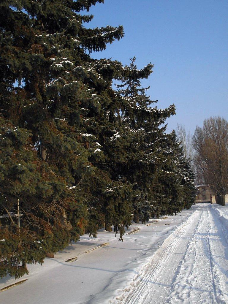 Орджонікідзе з panoramio.com - Орджоникидзе