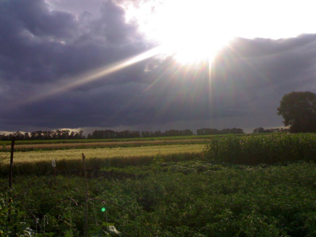 Олімпіадівка з panoramio.com - Олімпіадівка