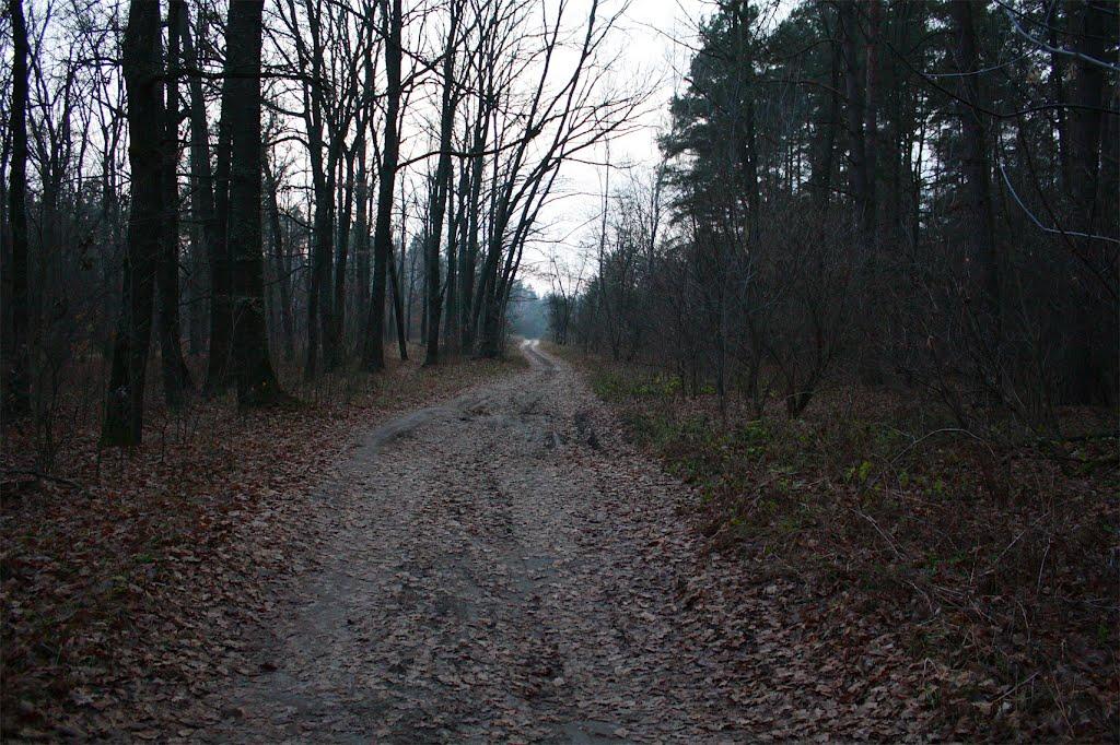 Кузьки з panoramio.com - Кузьки