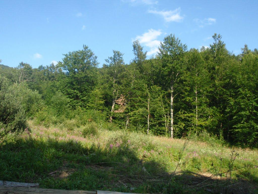 Княгиня з panoramio.com - Княгиня