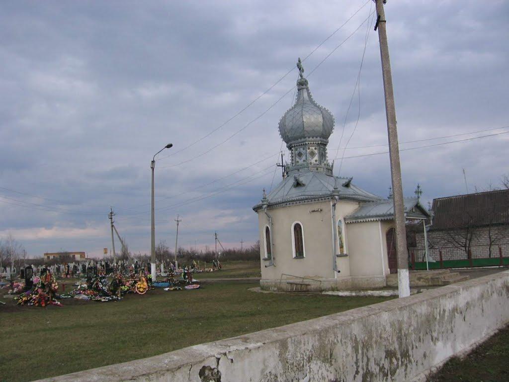 Криве Озеро з panoramio.com - Криве Озеро