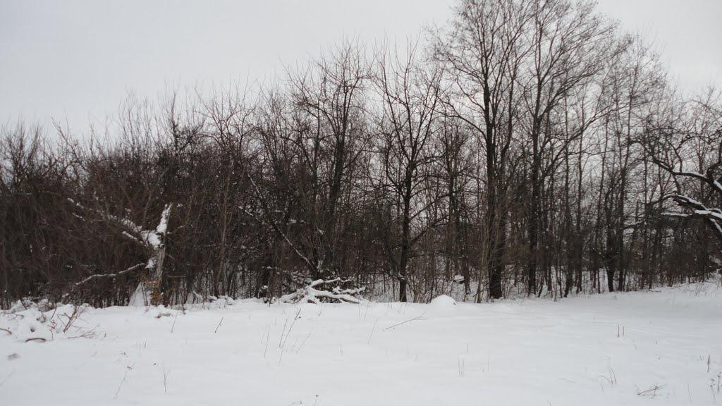 Глибочок з panoramio.com - Глибочок