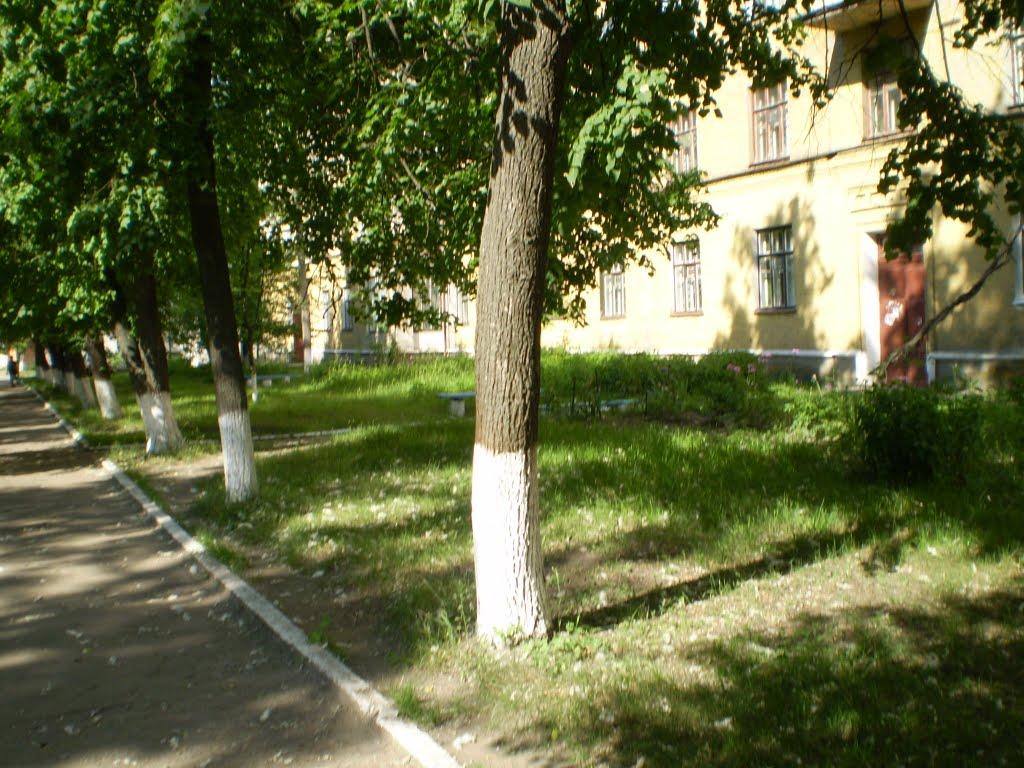 Лебедин з panoramio.com - Лебедин