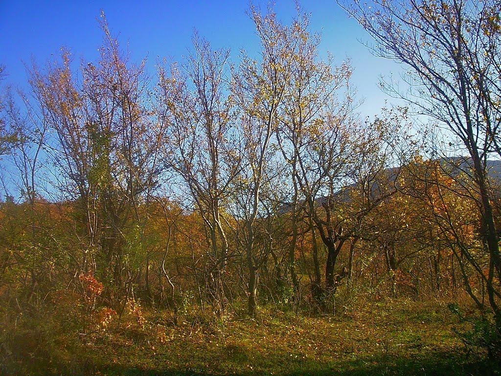Нагірне з panoramio.com - Нагорное
