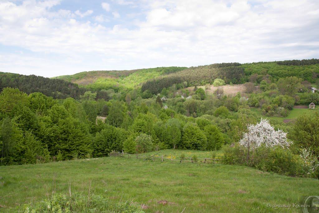 Башківці з panoramio.com - Bashkivtsi