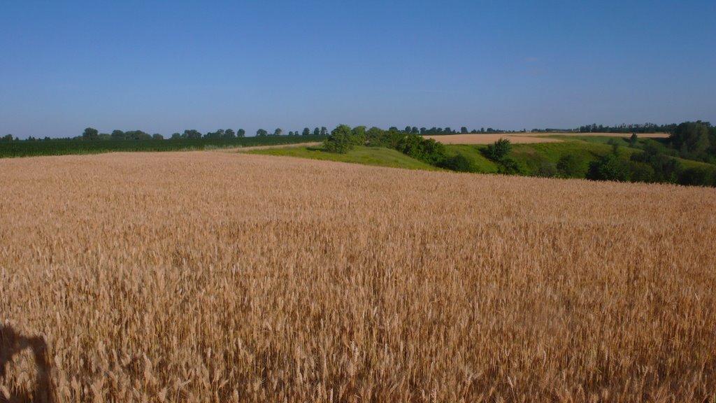 Шишаки з panoramio.com - Шишаки
