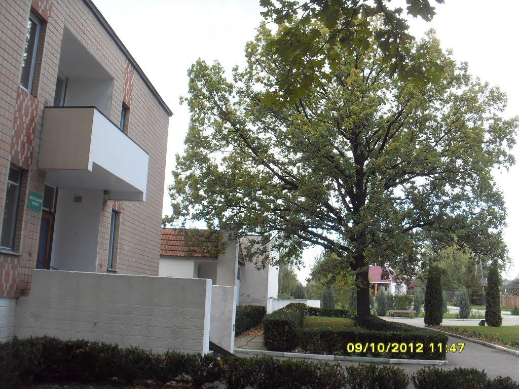 Маньківка з panoramio.com - Маньківка