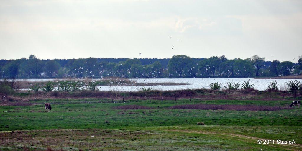 Брожки з panoramio.com - Брожки