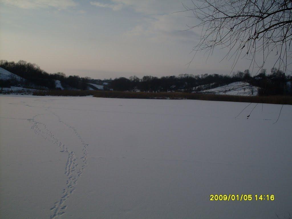 Новаки з panoramio.com - Новаки