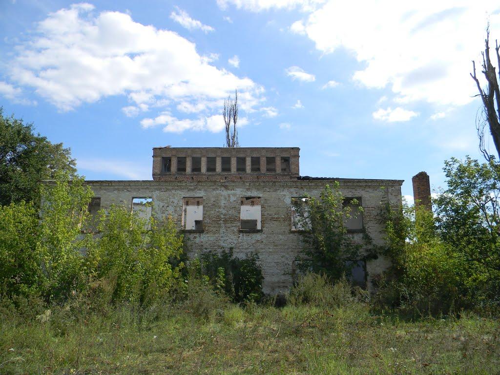 Несваткове з panoramio.com - Несваткове