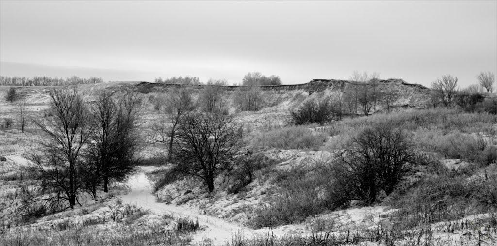 Опішня з panoramio.com - Opishnya