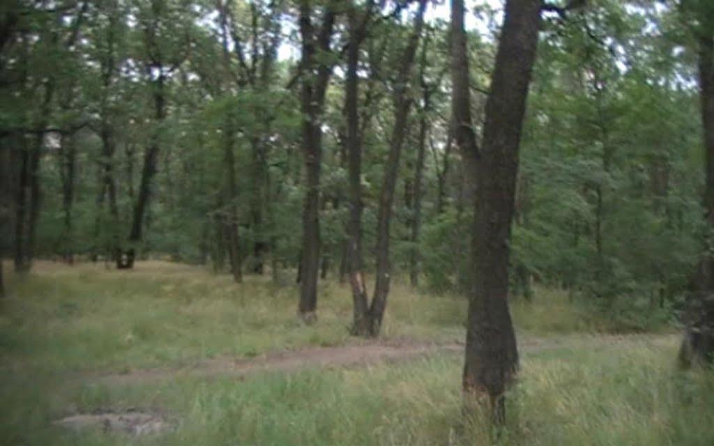 Сніжне з panoramio.com - Снежное