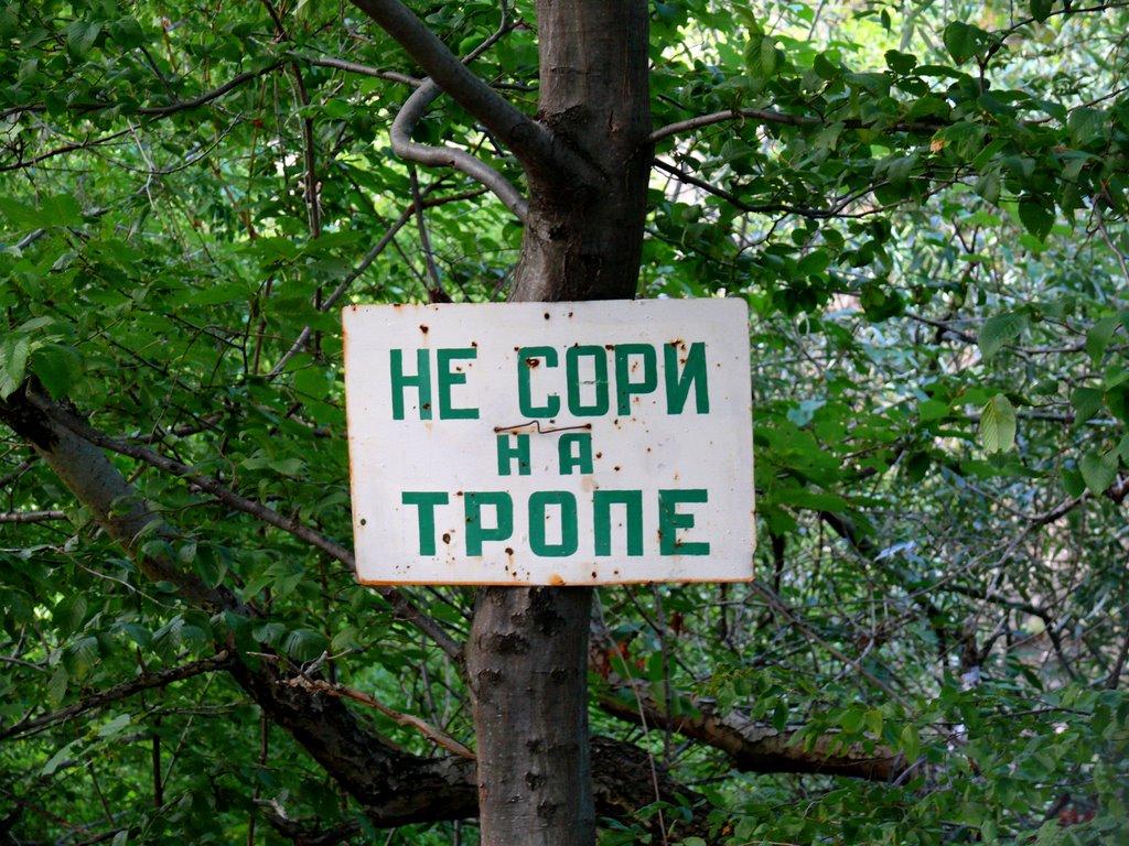 Зеленогір'я з panoramio.com - Зеленогір'я